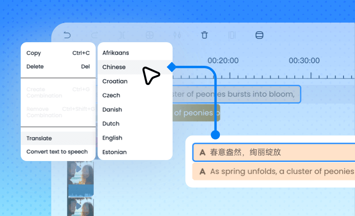 select language